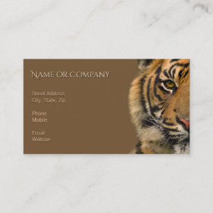Carte De Visite Tigre