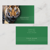 Carte De Visite Tigre (Devant / Derrière)