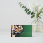 Carte De Visite Tigre (Debout devant)