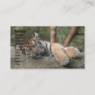 Carte De Visite Tigre de bébé de sommeil