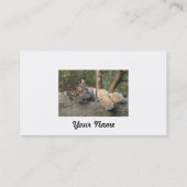 Carte De Visite Tigre de bébé de sommeil (Dos)