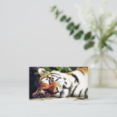 Carte De Visite Tigre d'escalier (Debout devant)