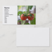 Carte De Visite Tomates cerises sur une branche (Devant / Derrière)