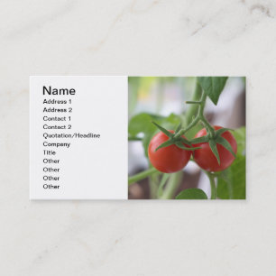 Carte De Visite Tomates cerises sur une branche