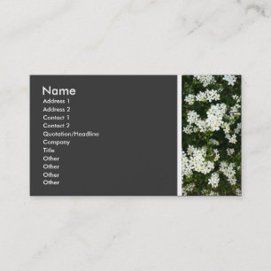 Carte De Visite Ton texture (Petites Fleurs) II