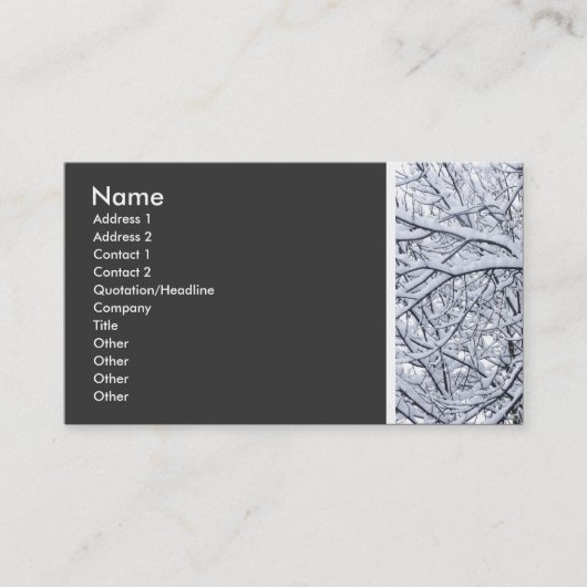 Carte De Visite Tonage de texture (Branches de neige) (Devant)