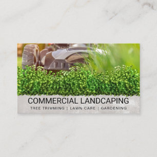 Carte De Visite tondeuse à gazon coupant l'herbe   Paysage   Poiss