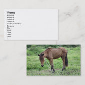 Carte De Visite Toraille1, (Devant / Derrière)