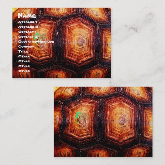 Carte De Visite Tortois (Devant / Derrière)