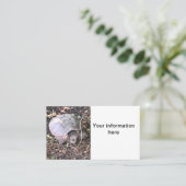 Carte De Visite Tortue (Debout devant)