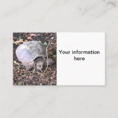 Carte De Visite Tortue (Devant)