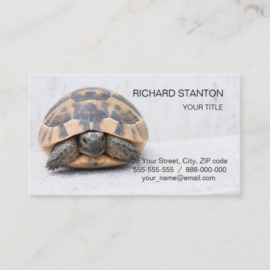 Carte De Visite Tortue (Devant)
