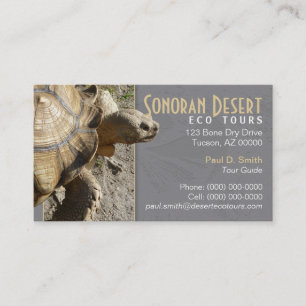 Carte de visite Tortue
