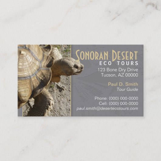 Carte de visite Tortue (Devant)