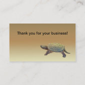 Carte De Visite Tortue commune - Chelydra serpentina (Dos)