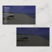 Carte De Visite Tortue de mer d'imbécile à sauvage national (Devant / Derrière)