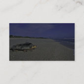 Carte De Visite Tortue de mer d'imbécile à sauvage national (Dos)