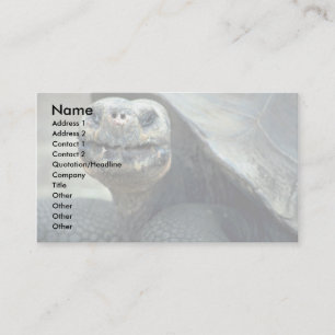 Carte De Visite Tortue des Galapagos