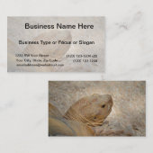 Carte De Visite tortue gros plan vieille tortue (Devant / Derrière)