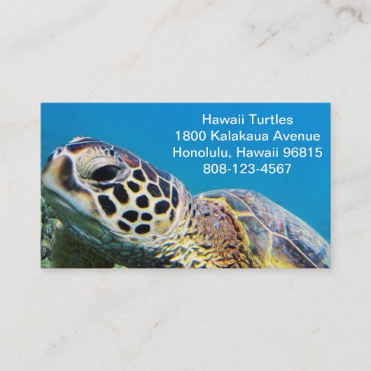 Carte De Visite Tortue verte d'Hawaii (Devant)