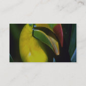 Carte De Visite toucan Quille-affiché (Dos)