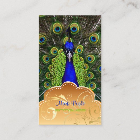 Carte De Visite Tourbillons PixDezines Peacock+filigree (Devant)