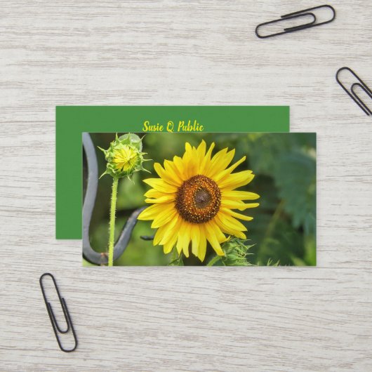 Carte De Visite Tournesol (Devant/Arrière en situation)