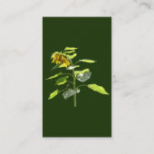 Carte De Visite Tournesol et Épervier (Dos)