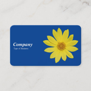 Carte De Visite Tournesol Helianthus 'Lemon Queen' - Bleu Profond