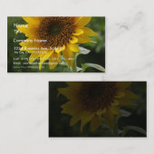 Carte De Visite Tournesols dans le domaine (Devant / Derrière)