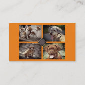 Carte De Visite Trainer de chien Walker Photo Publicité Grand (Dos)