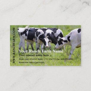 Carte De Visite Traite de la ferme de bétail de vache laitière