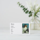 Carte de visite Tri Coloré de colley (Debout devant)