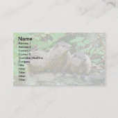 Carte De Visite Trois Bébés (Devant)