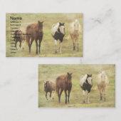 Carte De Visite Trois chevaux et un poney (Devant / Derrière)
