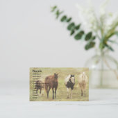 Carte De Visite Trois chevaux et un poney (Debout devant)