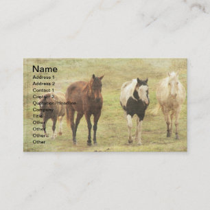 Carte De Visite Trois chevaux et un poney