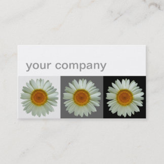Carte De Visite Trois floraux modernes de marguerites blanches