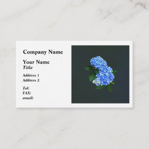 Carte De Visite Trois Hydrangeas Bleus