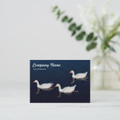 Carte De Visite Trois oies d'Emden (Debout devant)