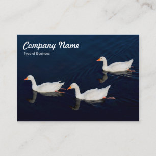 Carte De Visite Trois oies d'Emden
