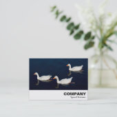 Carte De Visite Trois oies d'Emden (Debout devant)