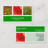 Carte De Visite Trois Photos Plus Un - Vert Herbe (Devant / Derrière)