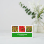 Carte De Visite Trois Photos Plus Un - Vert Herbe (Debout devant)