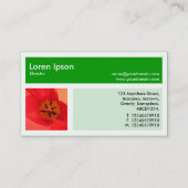 Carte De Visite Trois Photos Plus Un - Vert Herbe (Dos)