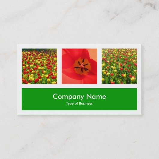 Carte De Visite Trois Photos Plus Un - Vert Herbe (Devant)