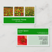 Carte De Visite Trois Photos Plus Un - Vert Herbe (Devant / Derrière)