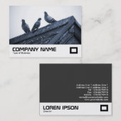 Carte De Visite Trois pigeons sur un toit (Devant / Derrière)