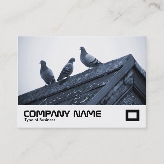Carte De Visite Trois pigeons sur un toit (Devant)