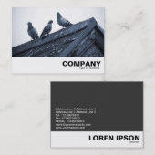 Carte De Visite Trois pigeons sur un toit (Devant / Derrière)